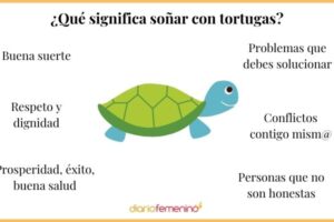 ¿Qué representa la tortuga en psicologia?